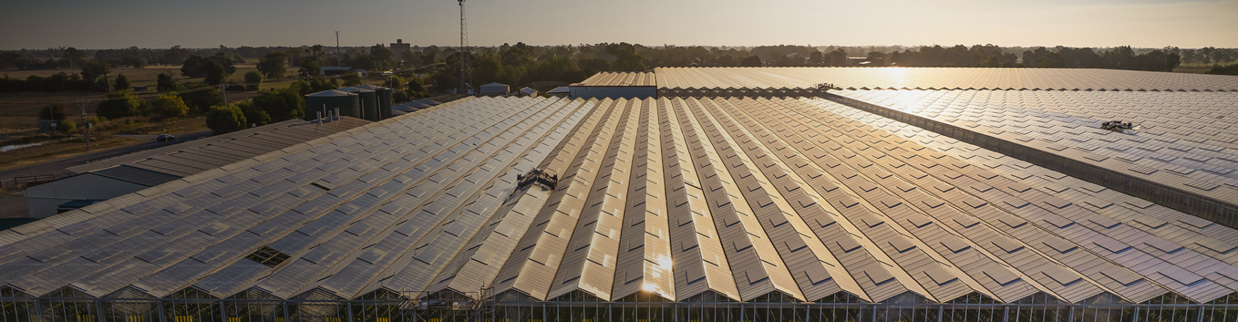 CAF_Katunga Fresh VIC__webbanner_2