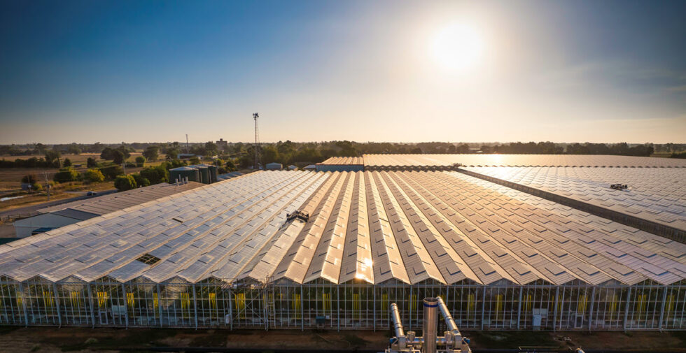 056_CEN_KATUNGA_0435_web