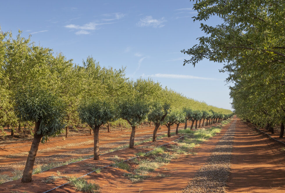 Agriculture-property_0000_023A8508